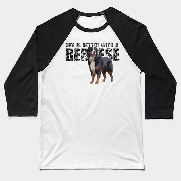 Bernese mountain dog Baseball T-Shirt by Bernesemountaindogstuff